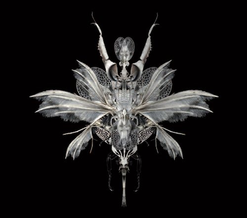 Crédit Photo © Xavier Montoy Crédit Photo © Xavier Montoy