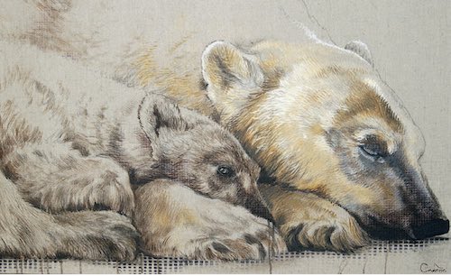 L'hypnose et le dormeur éveillé. Revue Hypnose & Thérapies Brèves 78.