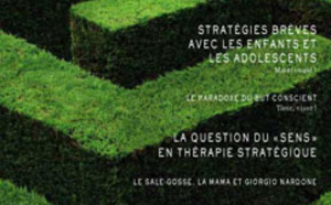 Revue Hypnose Therapies Breves Mai Juin Juillet 2008