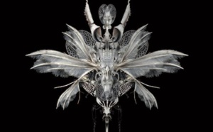 Technique or not technique? Dans le cortège des souffrances aux urgences. Technique or not technique? Dans le cortège des souffrances aux urgences.